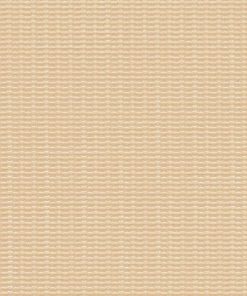 M711 CHAMPAGNE