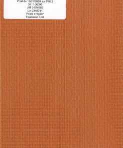 50261